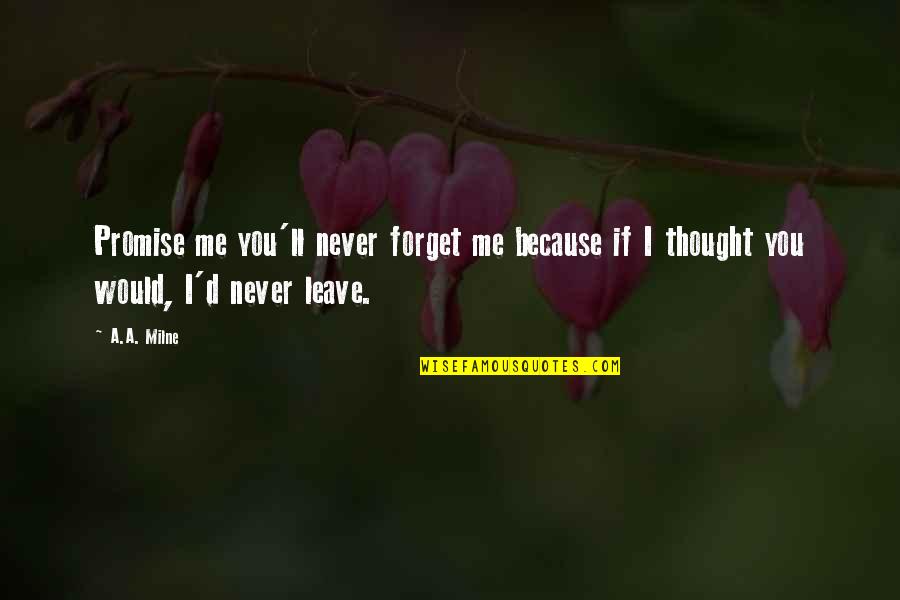 Love You Never Forget Quotes By A.A. Milne: Promise me you'll never forget me because if