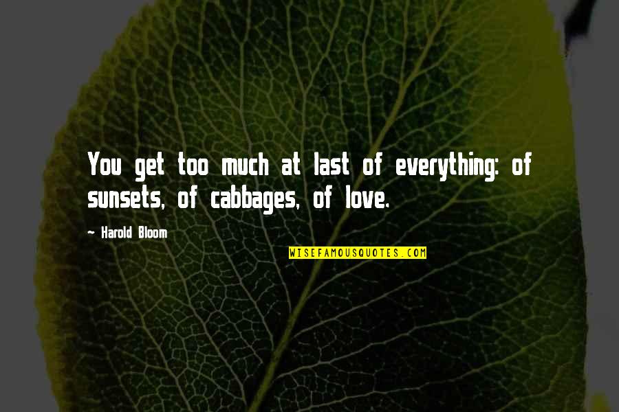 Love You Too Much Quotes By Harold Bloom: You get too much at last of everything: