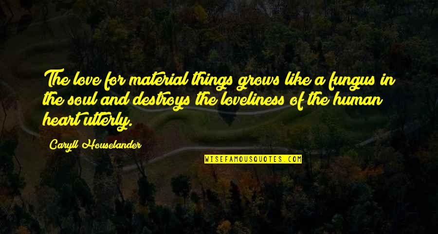 Love You With All My Heart And Soul Quotes By Caryll Houselander: The love for material things grows like a