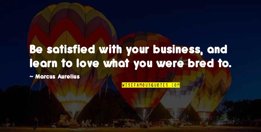 Love Your Business Quotes By Marcus Aurelius: Be satisfied with your business, and learn to