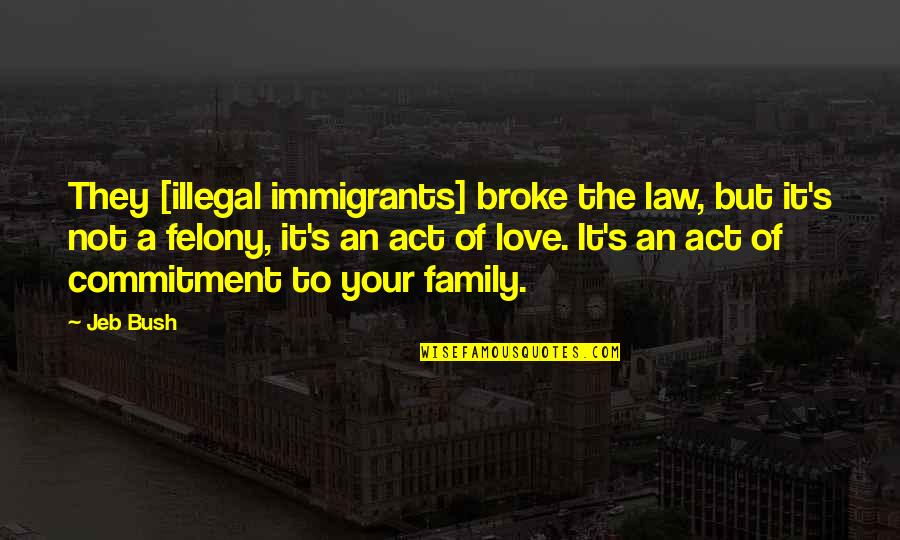 Love Your Family Quotes By Jeb Bush: They [illegal immigrants] broke the law, but it's