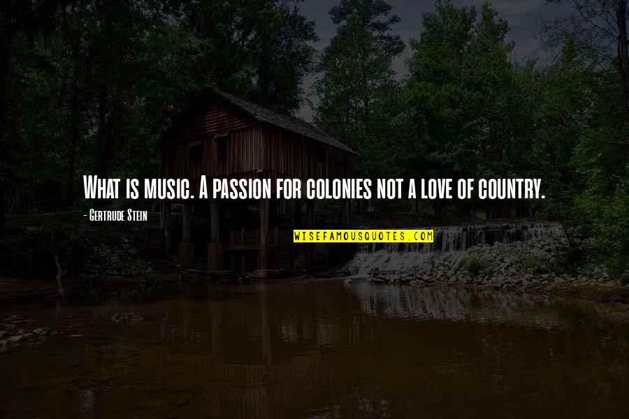 Love Your Own Country Quotes By Gertrude Stein: What is music. A passion for colonies not