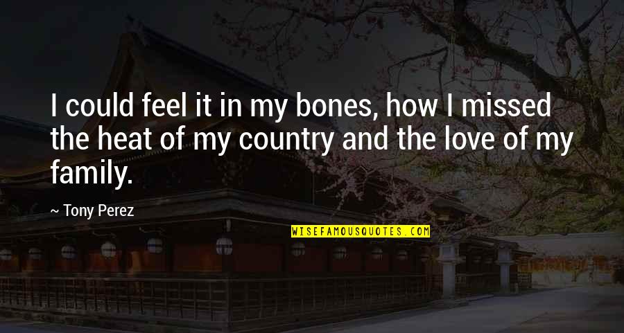 Love Your Own Country Quotes By Tony Perez: I could feel it in my bones, how