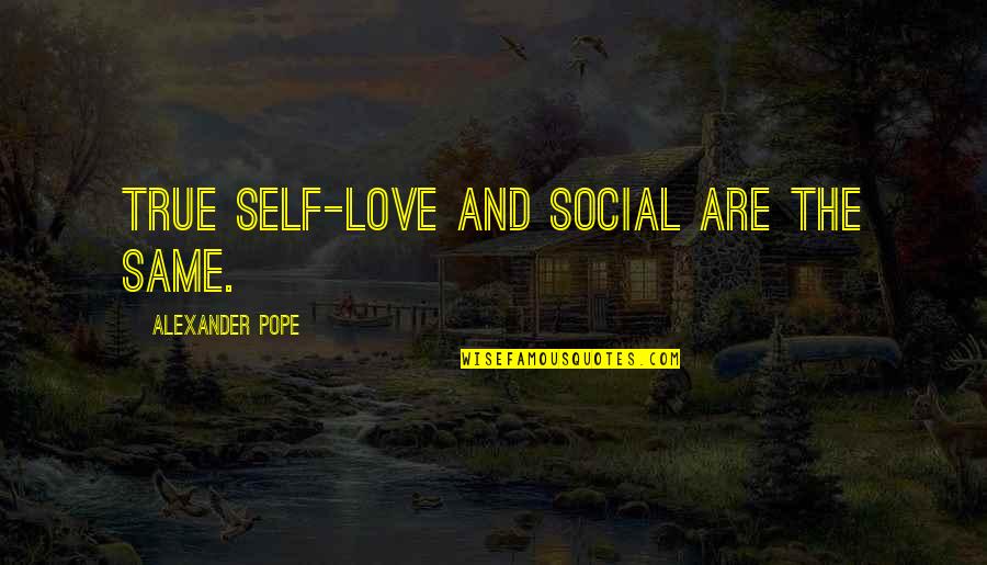 Love Your True Self Quotes By Alexander Pope: True self-love and social are the same.