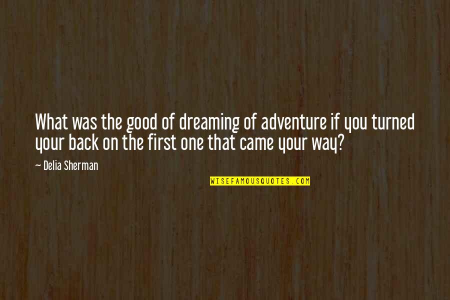 Love Yourself Bts Quotes By Delia Sherman: What was the good of dreaming of adventure