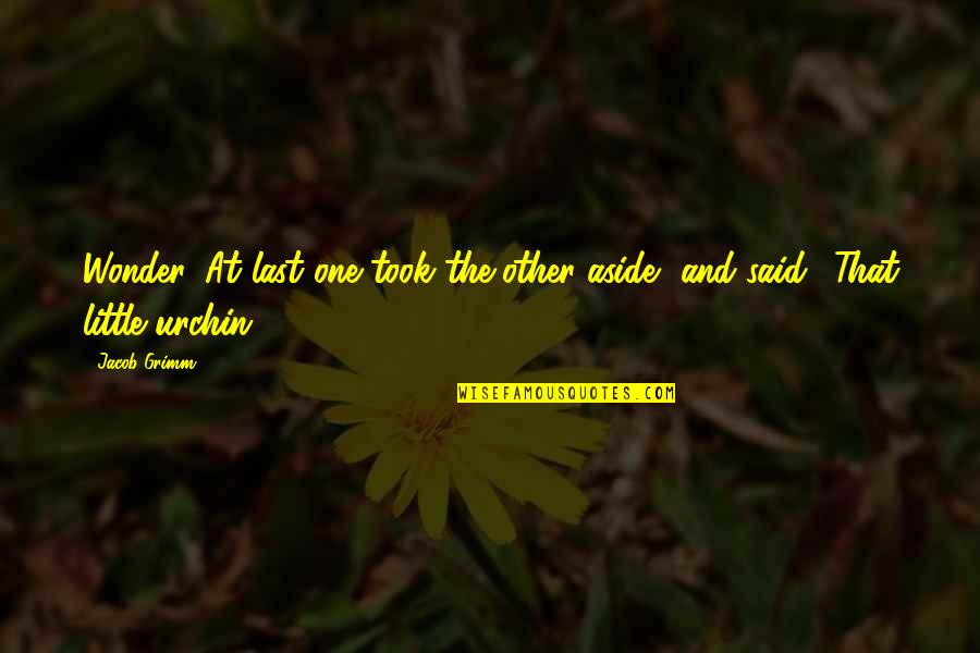 Loveall Rv Quotes By Jacob Grimm: Wonder. At last one took the other aside,