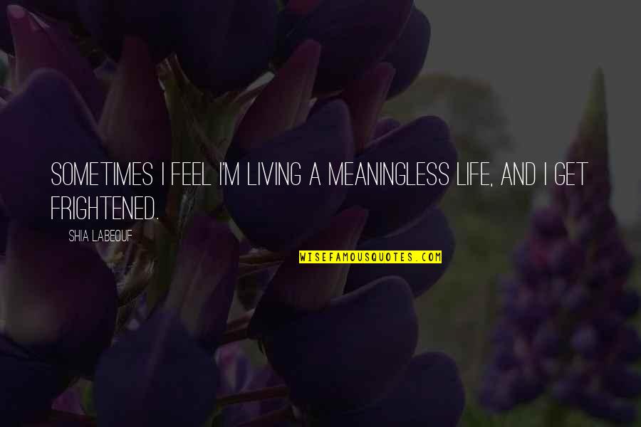 Lovecchio Reichmuth Quotes By Shia Labeouf: Sometimes I feel I'm living a meaningless life,