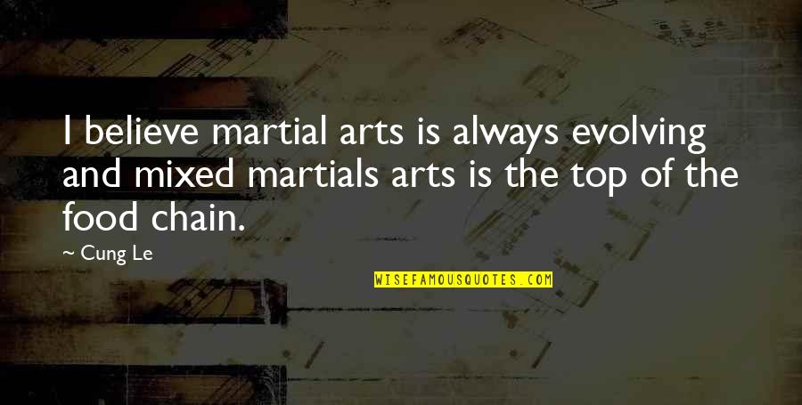 Loved Ones Being Sick Quotes By Cung Le: I believe martial arts is always evolving and
