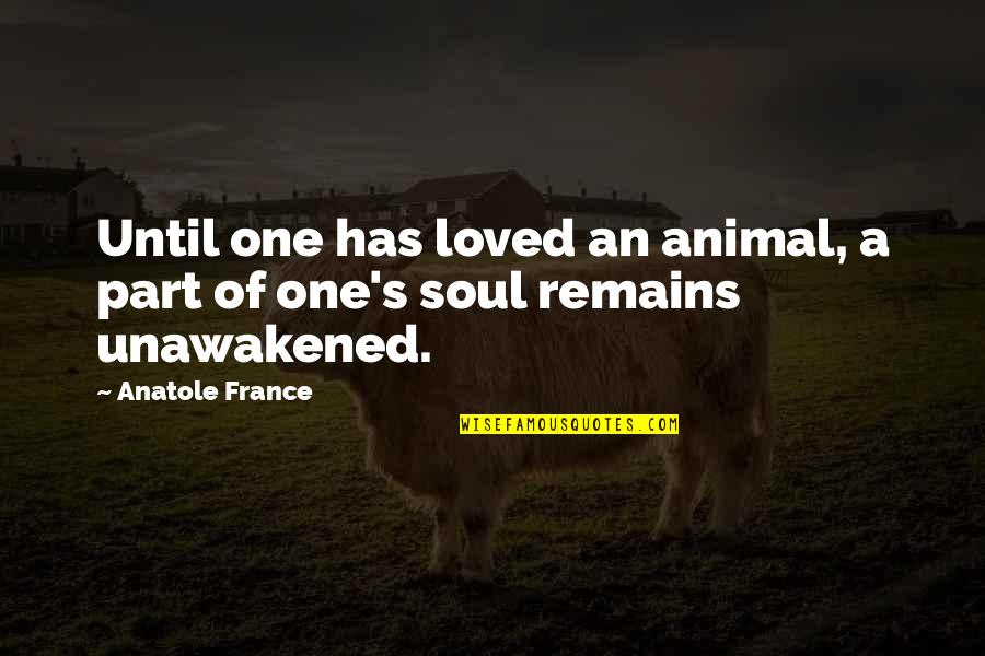 Loved Pets Quotes By Anatole France: Until one has loved an animal, a part