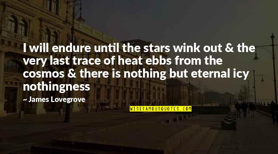 Lovegrove Quotes By James Lovegrove: I will endure until the stars wink out