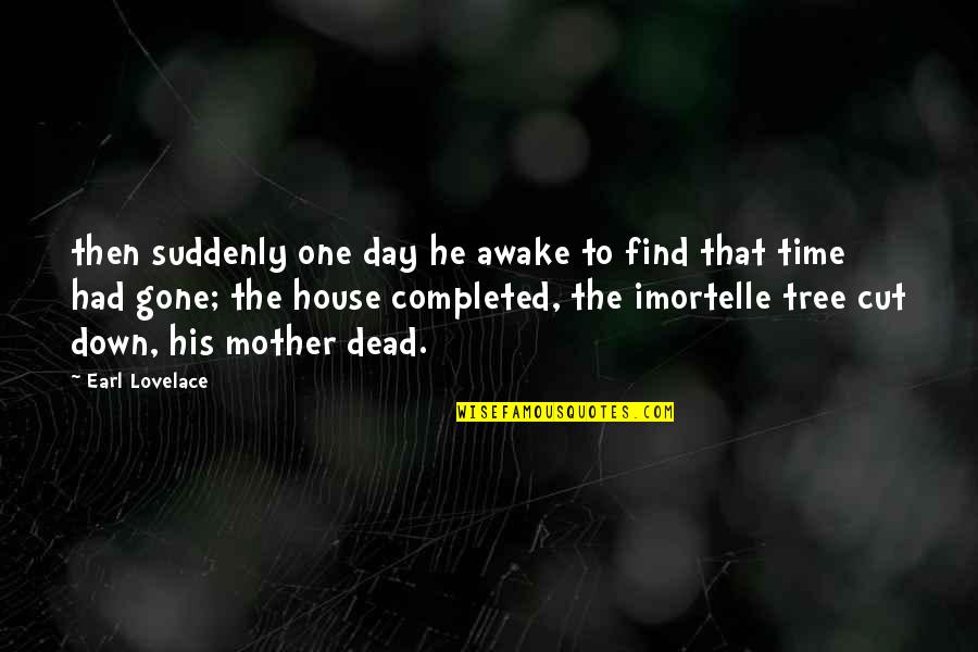 Lovelace's Quotes By Earl Lovelace: then suddenly one day he awake to find