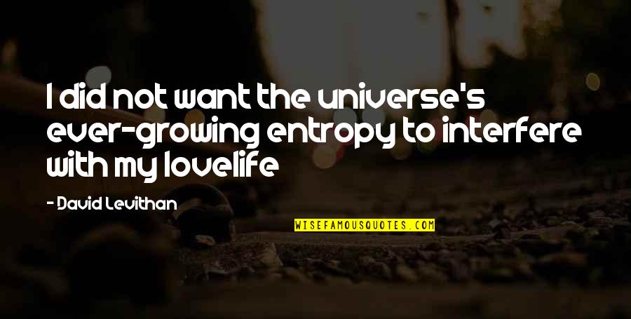 Lovelife Quotes By David Levithan: I did not want the universe's ever-growing entropy