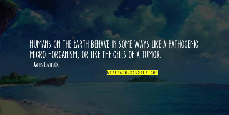 Lovelock Quotes By James Lovelock: Humans on the Earth behave in some ways Lovelock Quotes By James Lovelock: Humans on the Earth behave in some ways
