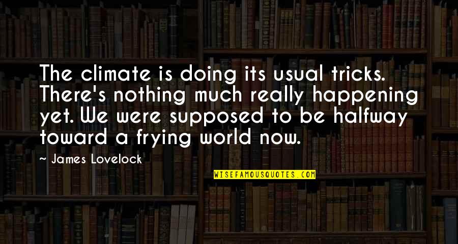 Lovelock's Quotes By James Lovelock: The climate is doing its usual tricks. There's