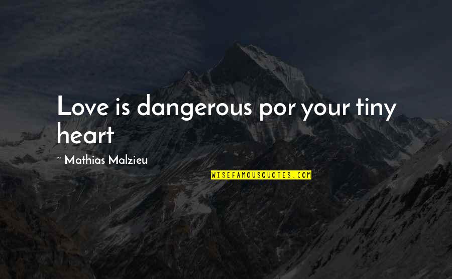 Lovely And Funny Quotes By Mathias Malzieu: Love is dangerous por your tiny heart
