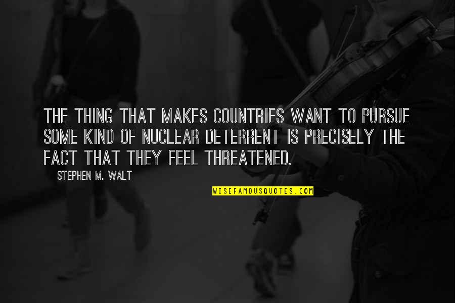 Lovely Little Sayings And Quotes By Stephen M. Walt: The thing that makes countries want to pursue