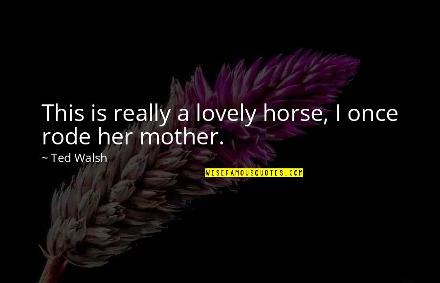 Lovely Mother Quotes By Ted Walsh: This is really a lovely horse, I once