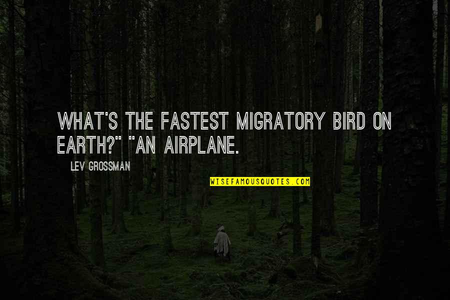Lovely Self Esteem Quotes By Lev Grossman: What's the fastest migratory bird on Earth?" "An Lovely Self Esteem Quotes By Lev Grossman: What's the fastest migratory bird on Earth?" "An