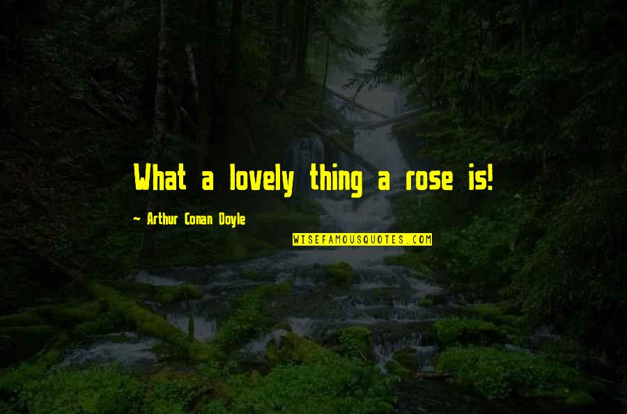 Lovely Things Quotes By Arthur Conan Doyle: What a lovely thing a rose is!