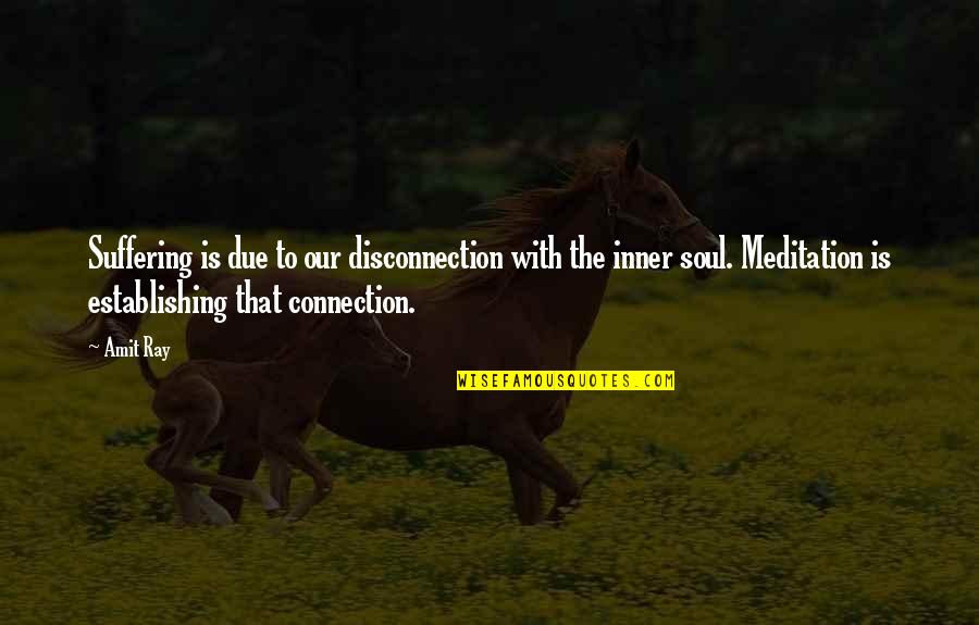 Lovenia Residence Quotes By Amit Ray: Suffering is due to our disconnection with the Lovenia Residence Quotes By Amit Ray: Suffering is due to our disconnection with the