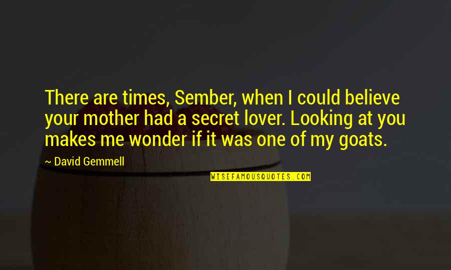 Lover Of Quotes By David Gemmell: There are times, Sember, when I could believe