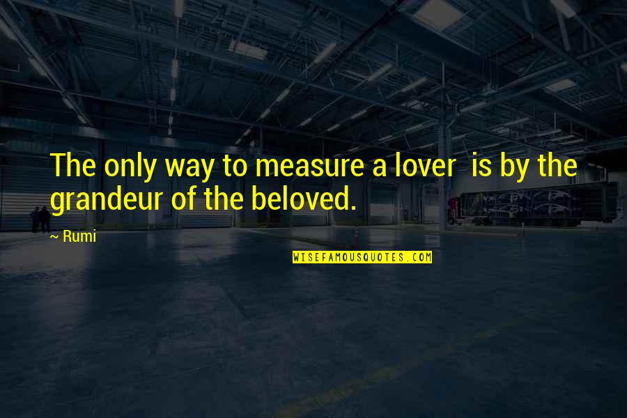 Lovers Only Quotes By Rumi: The only way to measure a lover is