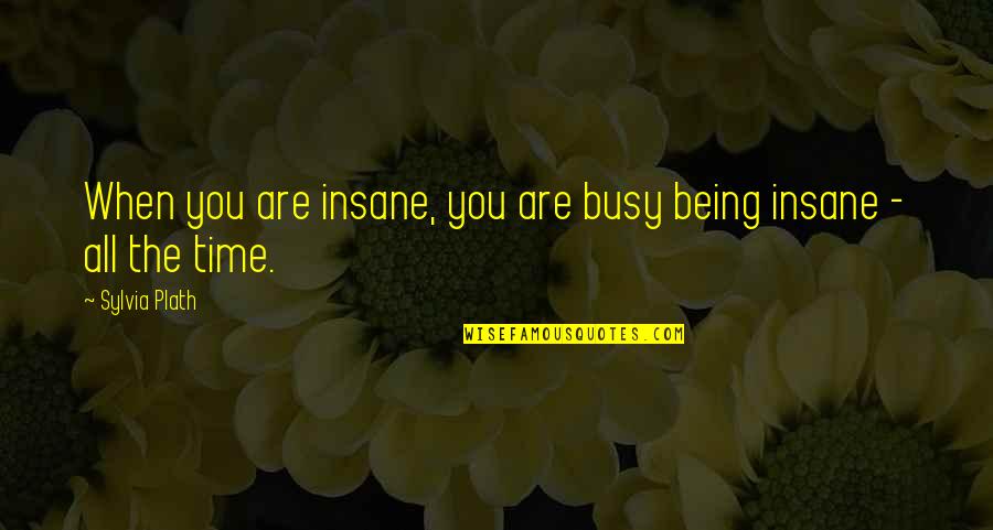 Lovesey Beanie Quotes By Sylvia Plath: When you are insane, you are busy being