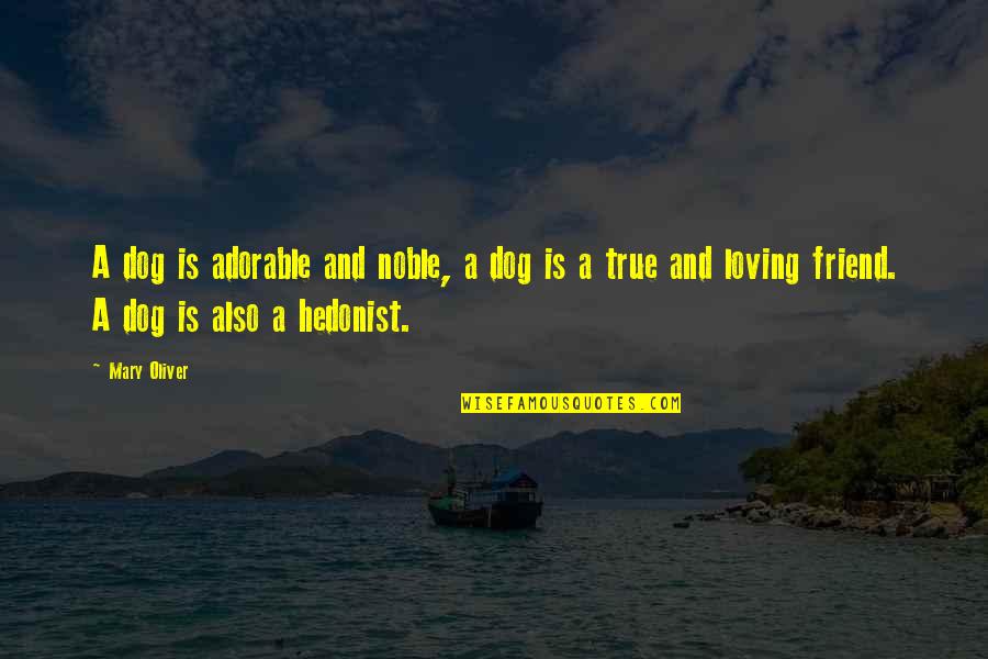 Loving A Best Friend Quotes By Mary Oliver: A dog is adorable and noble, a dog Loving A Best Friend Quotes By Mary Oliver: A dog is adorable and noble, a dog