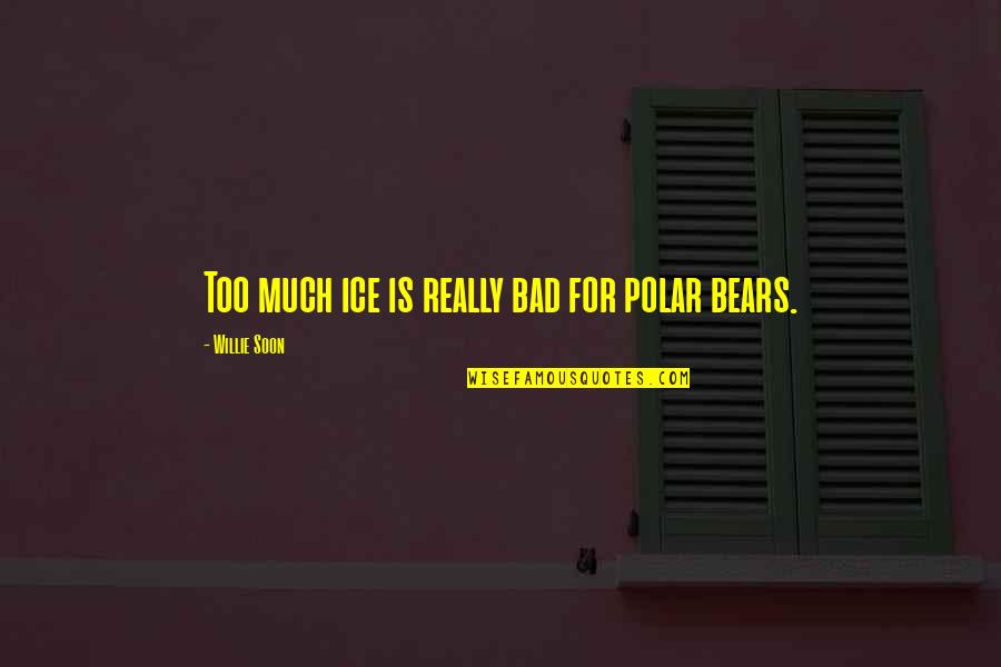 Loving A Prostitute Quotes By Willie Soon: Too much ice is really bad for polar