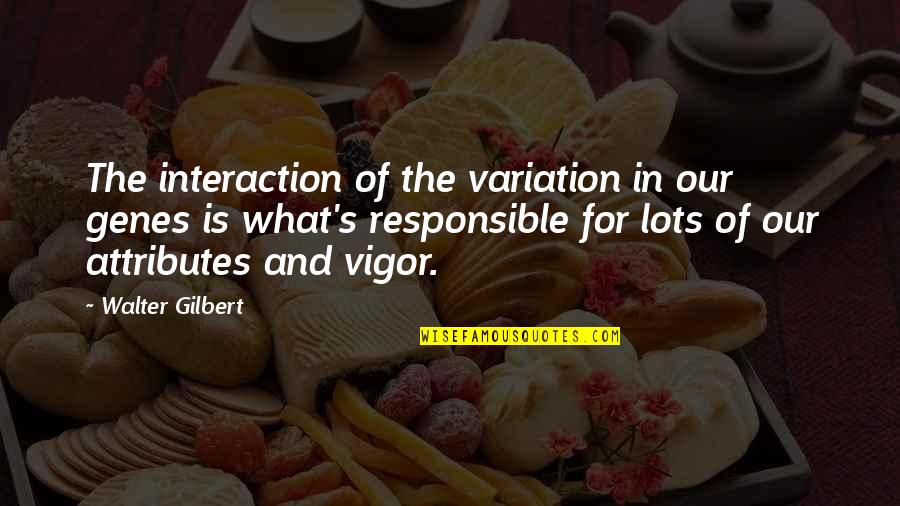 Loving Annabelle Quotes By Walter Gilbert: The interaction of the variation in our genes Loving Annabelle Quotes By Walter Gilbert: The interaction of the variation in our genes