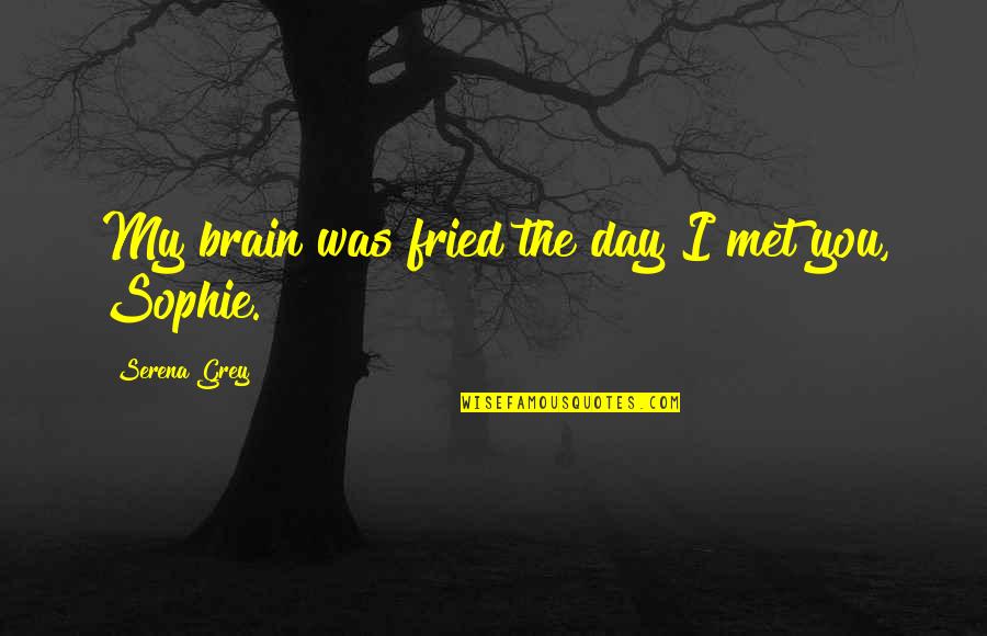 Loving But Not Living For Your Kids Quotes By Serena Grey: My brain was fried the day I met Loving But Not Living For Your Kids Quotes By Serena Grey: My brain was fried the day I met