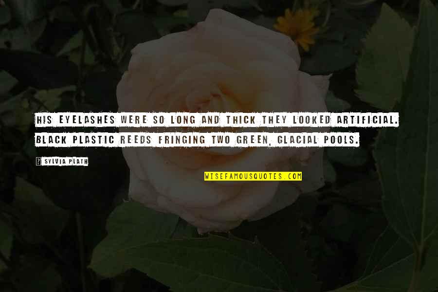 Loving Everyone For Who They Are Quotes By Sylvia Plath: His eyelashes were so long and thick they Loving Everyone For Who They Are Quotes By Sylvia Plath: His eyelashes were so long and thick they