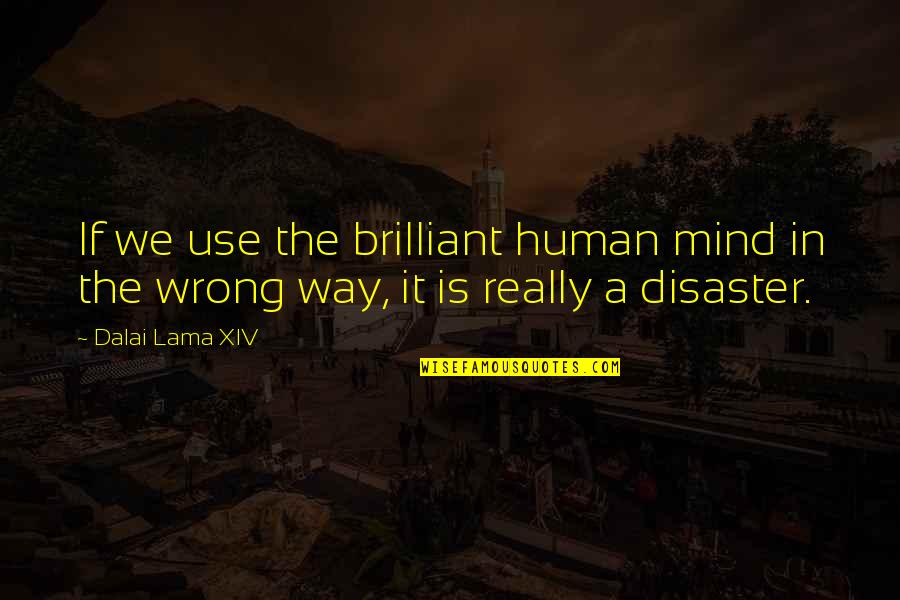 Loving Fridays Quotes By Dalai Lama XIV: If we use the brilliant human mind in