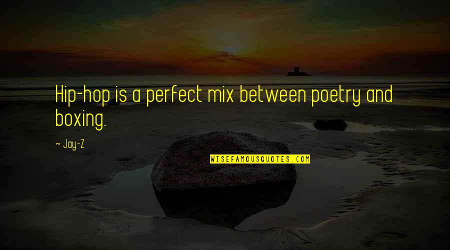 Loving Him So Much It Hurts Quotes By Jay-Z: Hip-hop is a perfect mix between poetry and