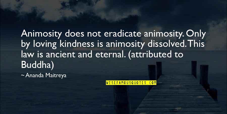 Loving Kindness In Buddhism Quotes By Ananda Maitreya: Animosity does not eradicate animosity. Only by loving Loving Kindness In Buddhism Quotes By Ananda Maitreya: Animosity does not eradicate animosity. Only by loving