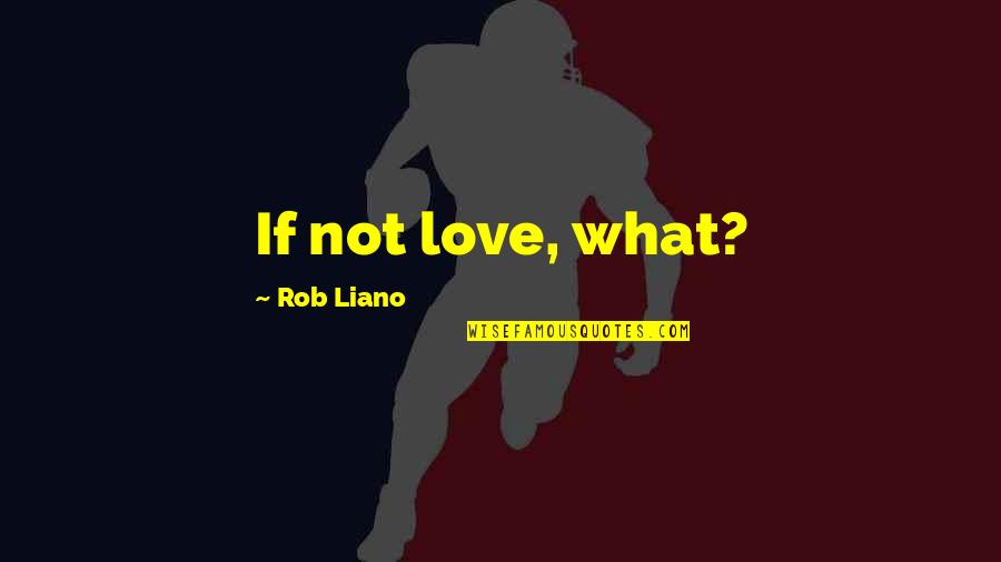Loving Life For What It Is Quotes By Rob Liano: If not love, what?