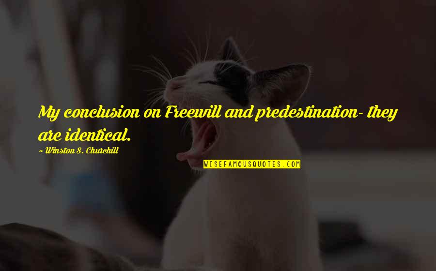 Loving Meat Quotes By Winston S. Churchill: My conclusion on Freewill and predestination- they are