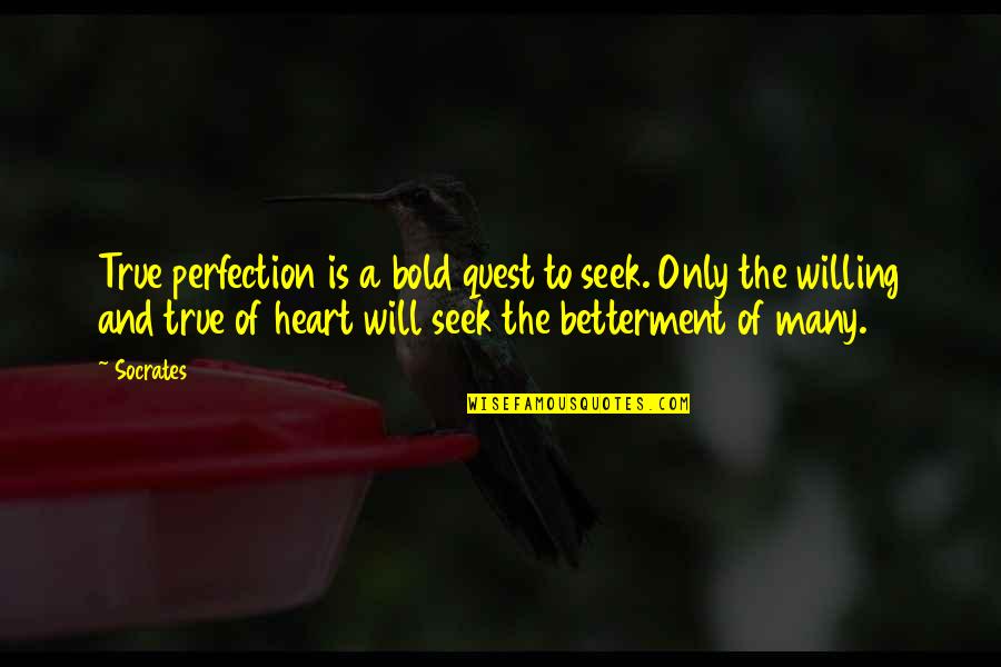 Loving One Direction Quotes By Socrates: True perfection is a bold quest to seek.
