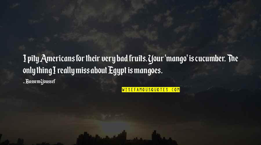 Loving Someone After They Hurt You Quotes By Bassem Youssef: I pity Americans for their very bad fruits.