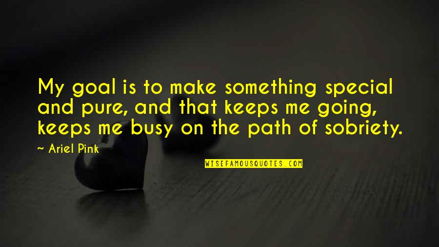 Loving Someone You Cant Marry Quotes By Ariel Pink: My goal is to make something special and Loving Someone You Cant Marry Quotes By Ariel Pink: My goal is to make something special and