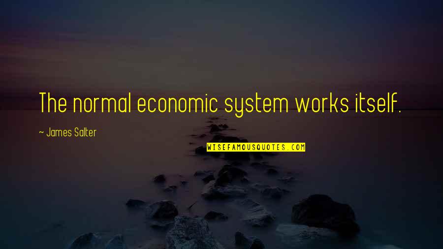 Loving To Smile Quotes By James Salter: The normal economic system works itself.