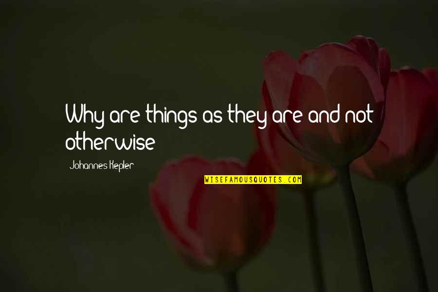 Loving To Smile Quotes By Johannes Kepler: Why are things as they are and not