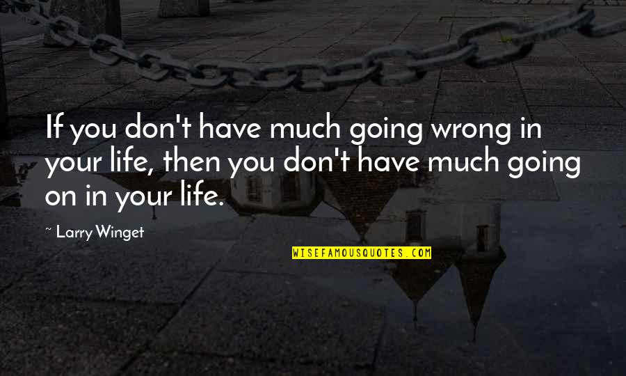 Loving What You Have In Life Quotes By Larry Winget: If you don't have much going wrong in