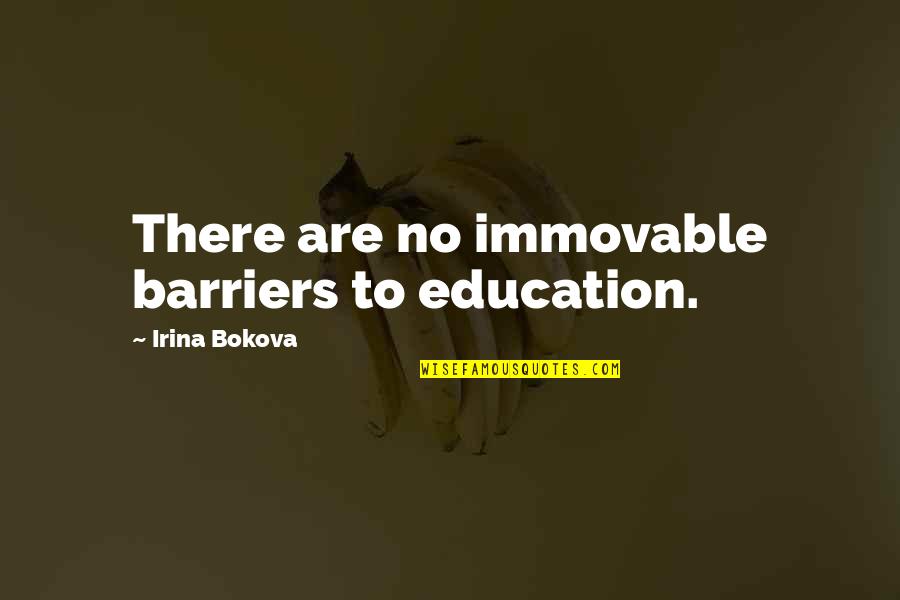 Loving Where You Come From Quotes By Irina Bokova: There are no immovable barriers to education.