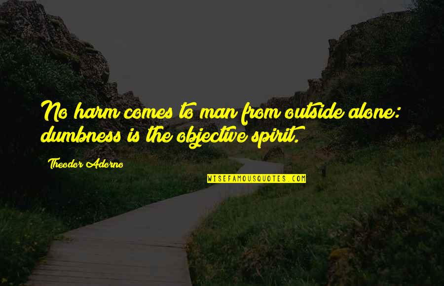 Loving Wife And Husband Quotes By Theodor Adorno: No harm comes to man from outside alone: