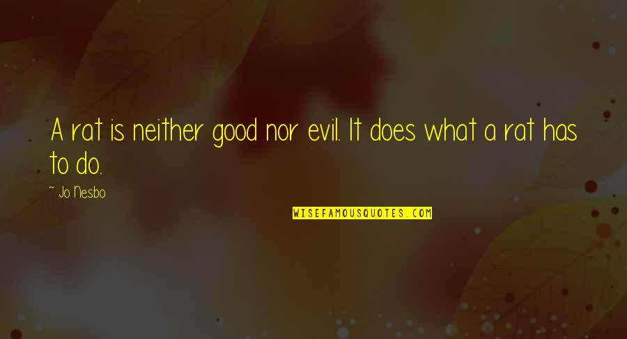 Loving You Is My Choice Quotes By Jo Nesbo: A rat is neither good nor evil. It