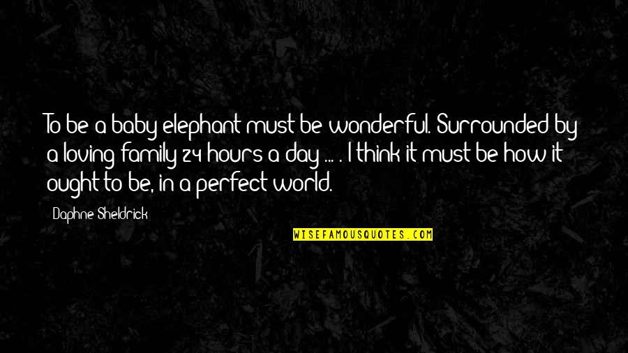 Loving You Is Wonderful Quotes By Daphne Sheldrick: To be a baby elephant must be wonderful.