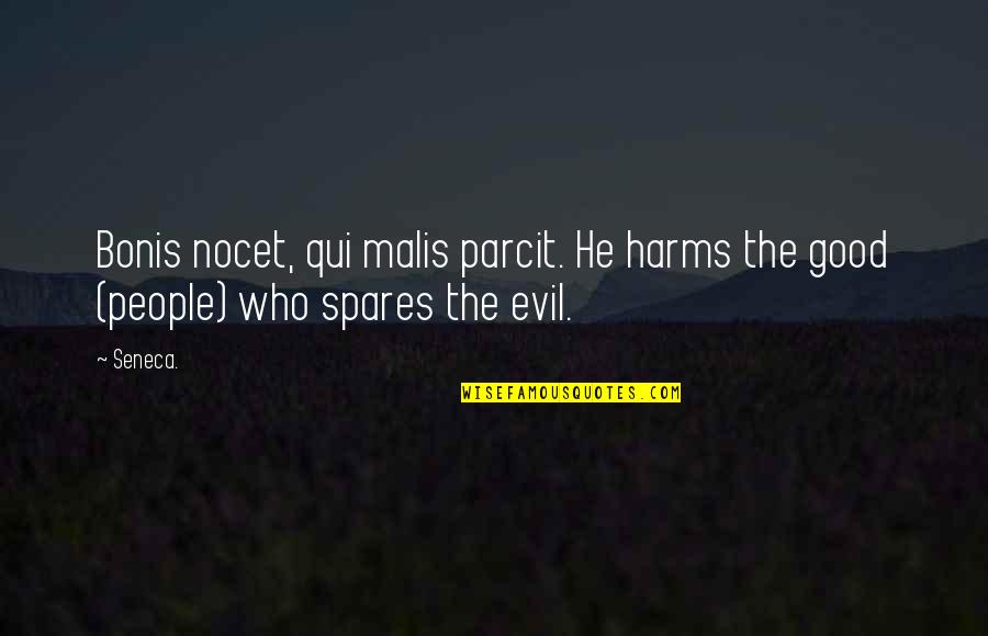 Loving You Truly Quotes By Seneca.: Bonis nocet, qui malis parcit. He harms the