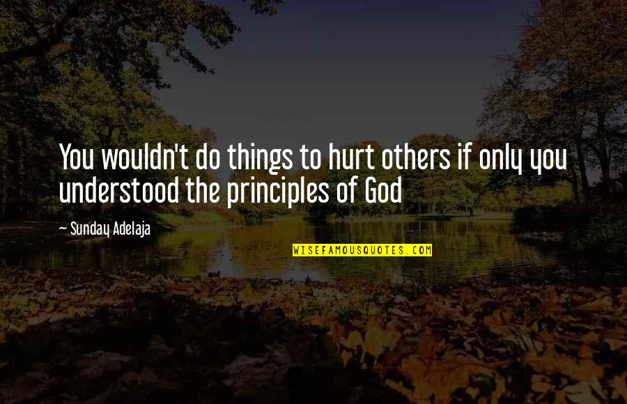 Loving Your Work Quotes By Sunday Adelaja: You wouldn't do things to hurt others if