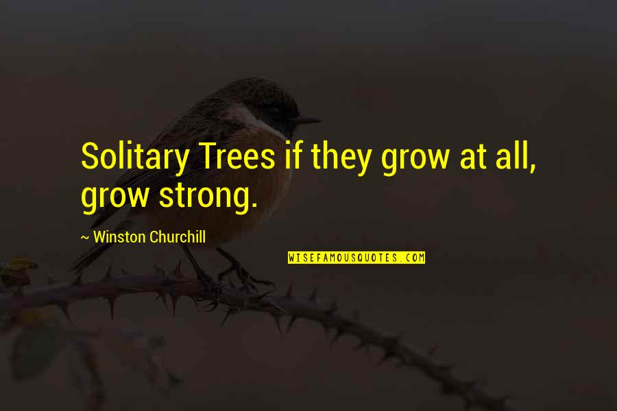 Loving Yourself Without Makeup Quotes By Winston Churchill: Solitary Trees if they grow at all, grow